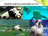 《尝试对生物进行分类》课件