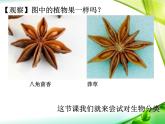 《尝试对生物进行分类》课件