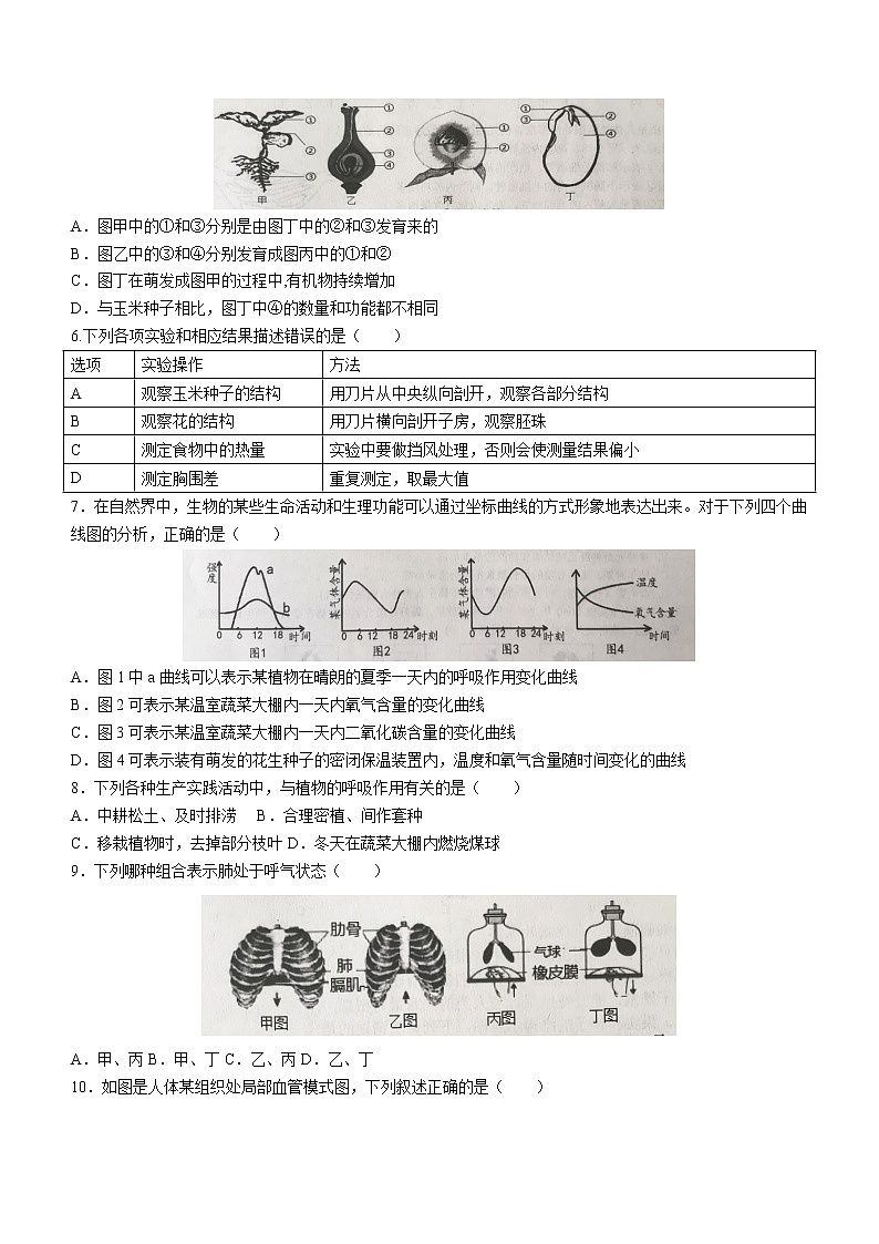 2022年山东省济南市莱芜区中考三模生物试题(word版含答案)第2页