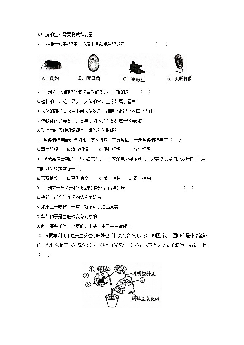 2022年云南省昭通市绥江县初中学业水平考试模拟卷二生物试题(word版含答案)第2页