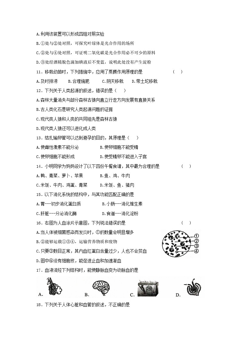 2022年云南省昭通市绥江县初中学业水平考试模拟卷二生物试题(word版含答案)第3页