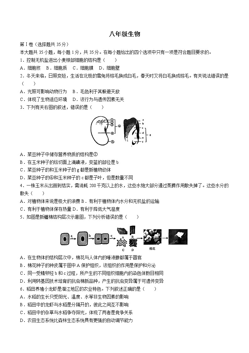 2022年山东省青岛市崂山区育才学校八年级中考二模生物试题(word版无答案)第1页