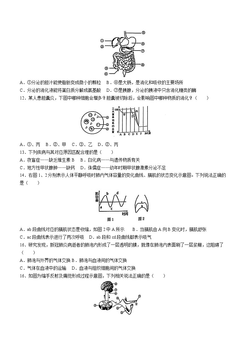 2022年山东省青岛市崂山区育才学校八年级中考二模生物试题(word版无答案)第3页