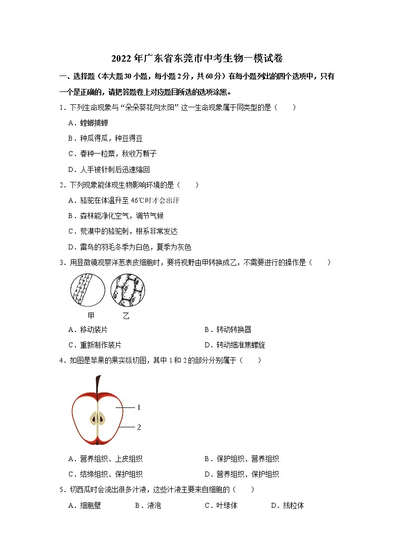 2022年广东省东莞市中考一模生物试卷(word版含答案)01