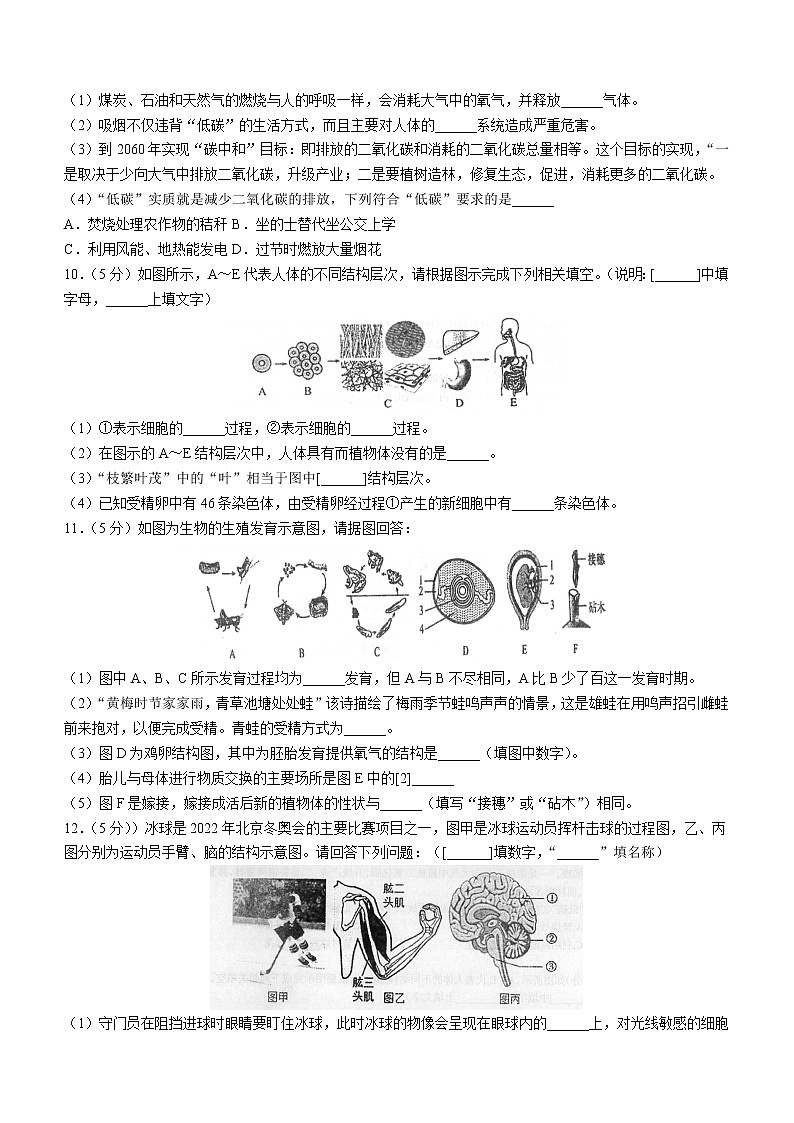 2022年甘肃省酒泉市肃州区中考适应性检测（二模）生物试题(word版含答案)第2页
