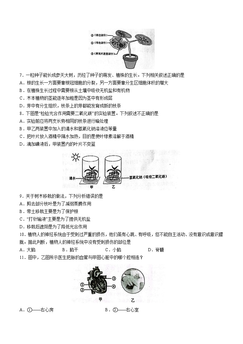 山东省淄博市高青县八年级中考二模生物试题(word版含答案)第2页