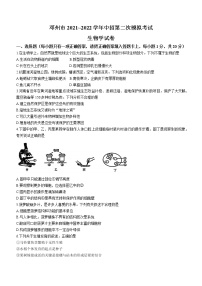 2022年河南省邓州市中考二模生物试题(word版无答案)