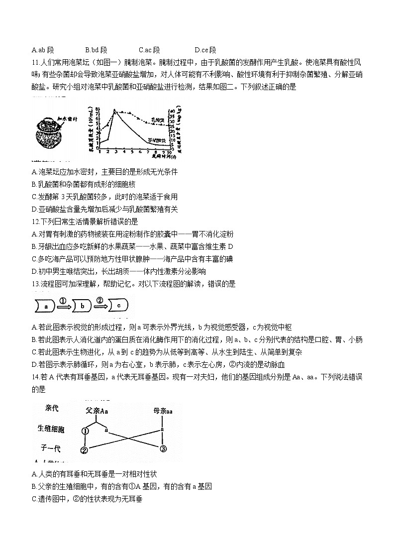 2022年河南省邓州市中考二模生物试题(word版无答案)03