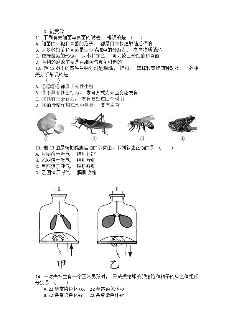 2022年广东省茂名市电白区第三中学八年级第二次模拟生物试题(word版含答案)03