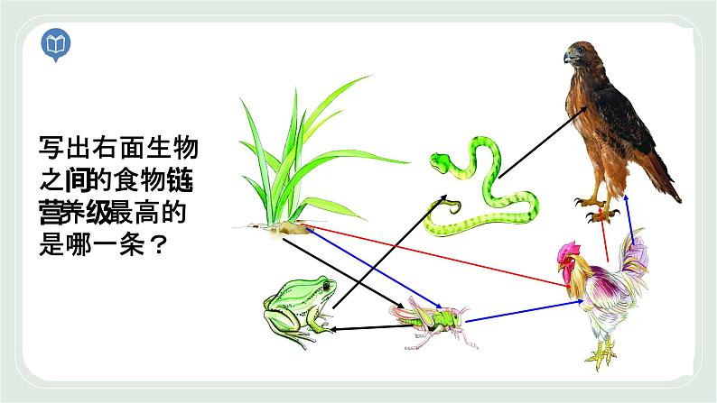 6.1 食物链第2课时（课件）第3页