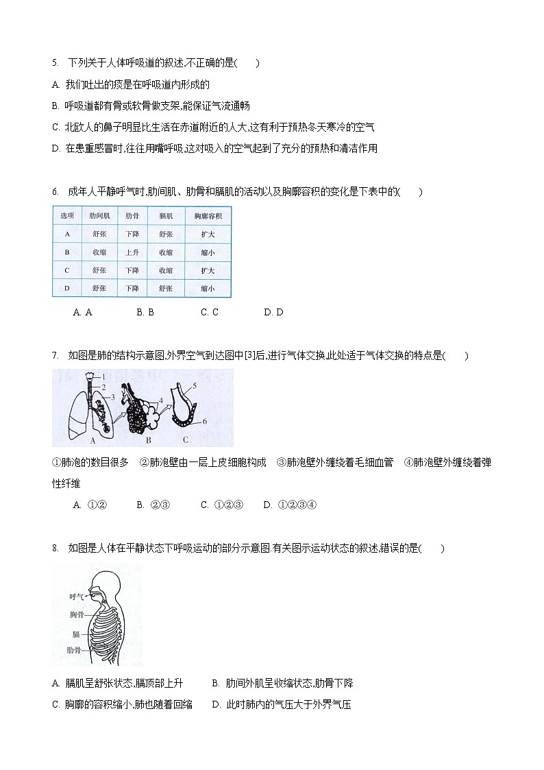7.2 人体的呼吸 第1课时-七年级生物上册 课件+练习（苏科版）02