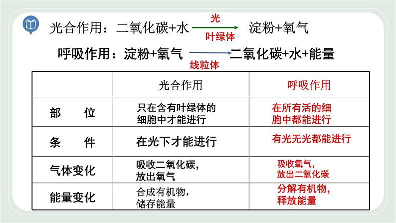 7.2 人体的呼吸 第1课时-七年级生物上册 课件+练习（苏科版）04