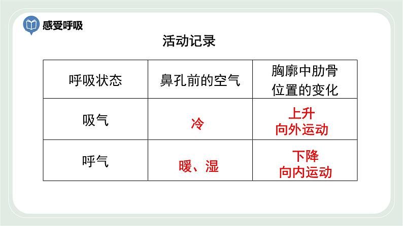 7.2 人体的呼吸 第1课时-七年级生物上册 课件+练习（苏科版）08