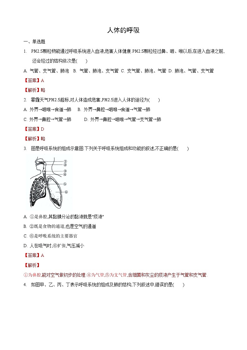 7.2 人体的呼吸 第1课时-七年级生物上册 课件+练习（苏科版）01