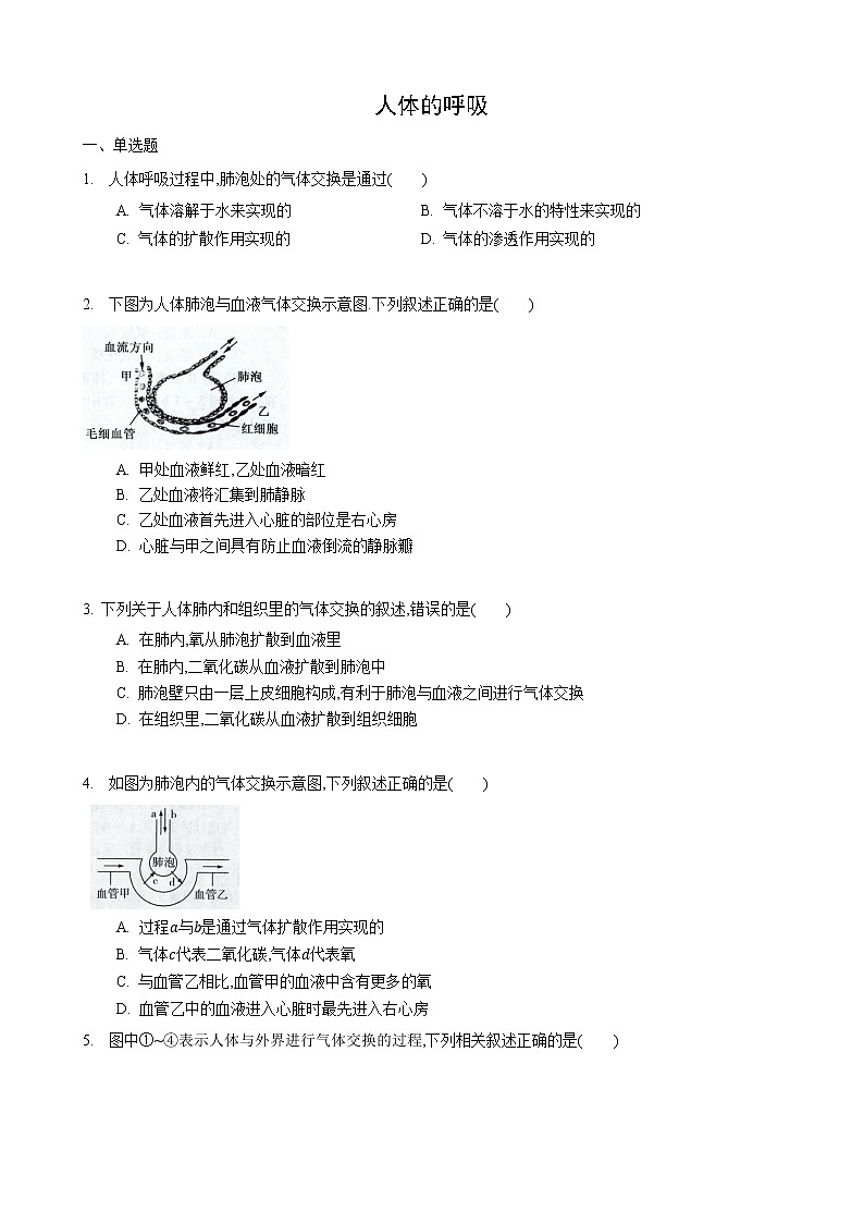 7.2 人体的呼吸 第2课时-七年级生物上册 课件+练习（苏科版）01