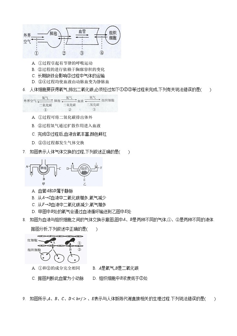 7.2 人体的呼吸 第2课时-七年级生物上册 课件+练习（苏科版）02