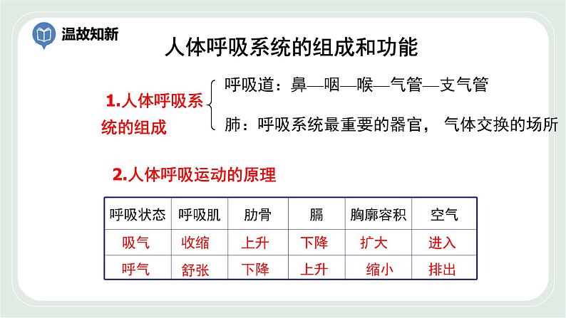 7.2 人体的呼吸 第2课时-七年级生物上册 课件+练习（苏科版）03