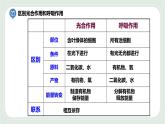 7.1 能量的释放和利用 第2课时-七年级生物上册 课件+练习（苏科版）