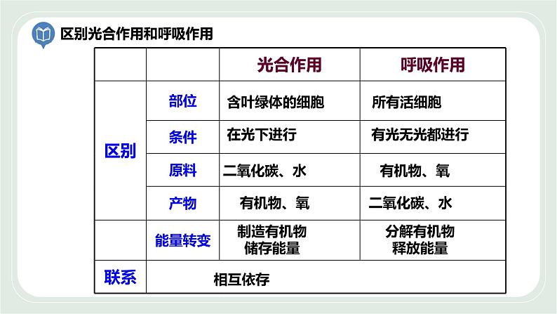 7.1 能量的释放和利用 第2课时-七年级生物上册 课件+练习（苏科版）04