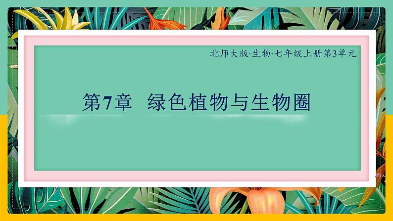 7《绿色植物与生物圈》课件PPT+教案+同步练习01