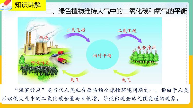 7《绿色植物与生物圈》课件PPT+教案+同步练习05