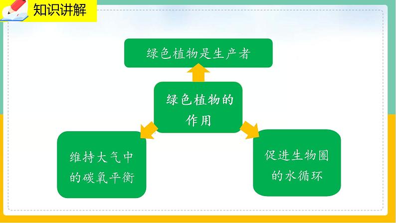 7《绿色植物与生物圈》课件PPT+教案+同步练习07