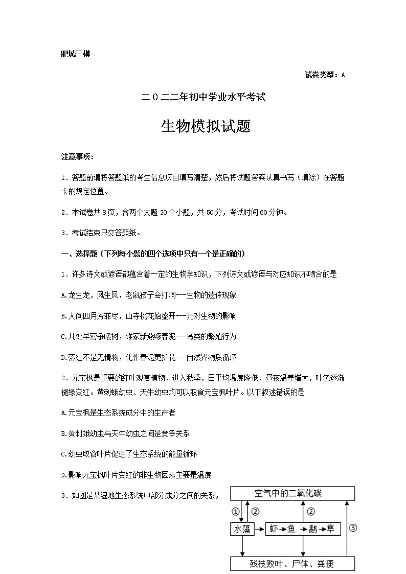 2022年山东省肥城市初中学业水平考试生物模拟试题（三模）（含答案）01