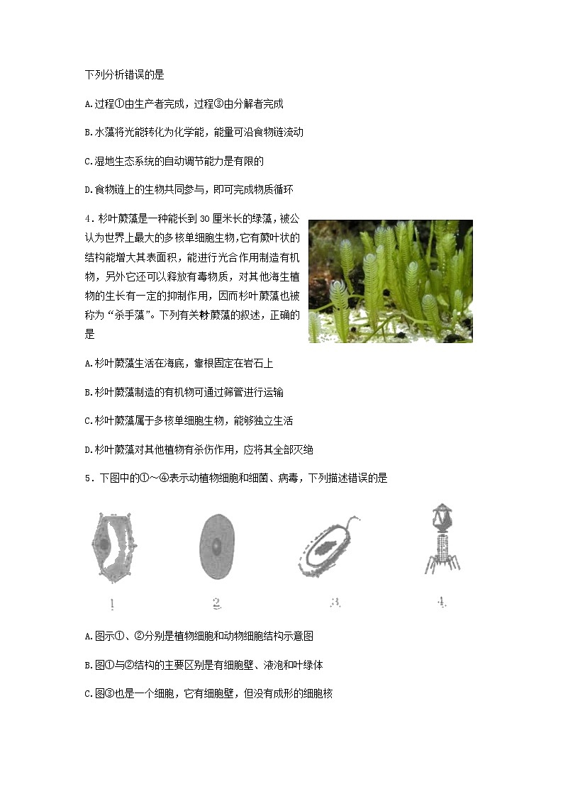 2022年山东省肥城市初中学业水平考试生物模拟试题（三模）（含答案）02