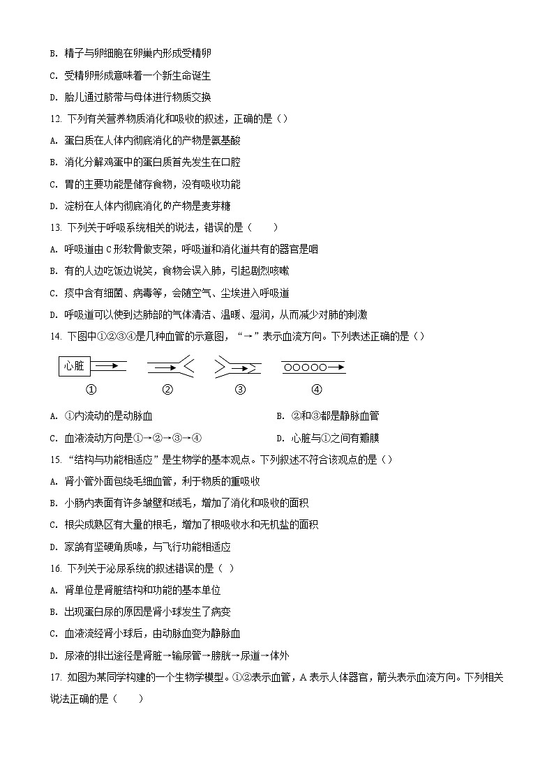2022年山东省威海市文登区中考一模生物试题（含答案）03