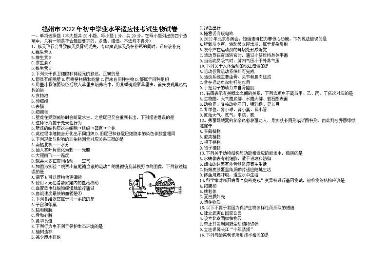 2022年江西省赣州市八年级学业水平适应性考试生物试题（含答案）第1页