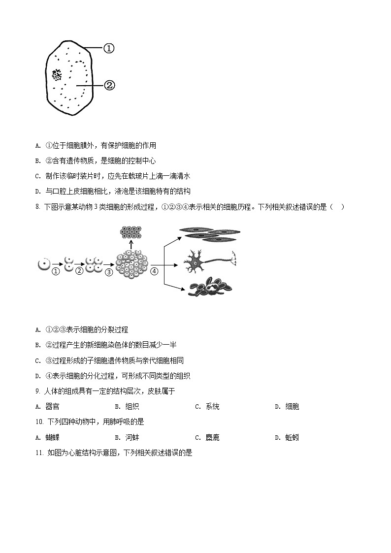 2022年江苏省泰兴市八年级二模生物试题（含答案）第2页
