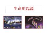 21.1《生命的起源》课件 北师大版八年级生物下册