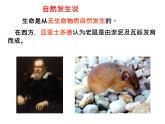 21.1《生命的起源》课件 北师大版八年级生物下册