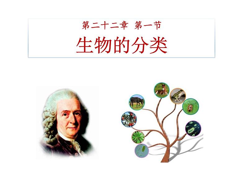 22.1《生物的分类》ppt课件北师大版八年级生物下册第1页