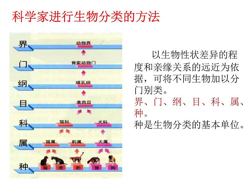 22.1《生物的分类》ppt课件北师大版八年级生物下册第6页