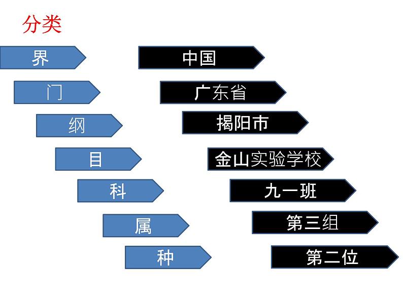 22.1《生物的分类》ppt课件北师大版八年级生物下册第7页