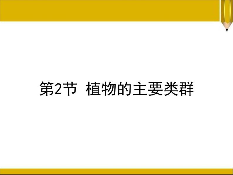 22.3植物的主要类群裸子、被子植物2 课件 北师大版八年级生物下册第1页