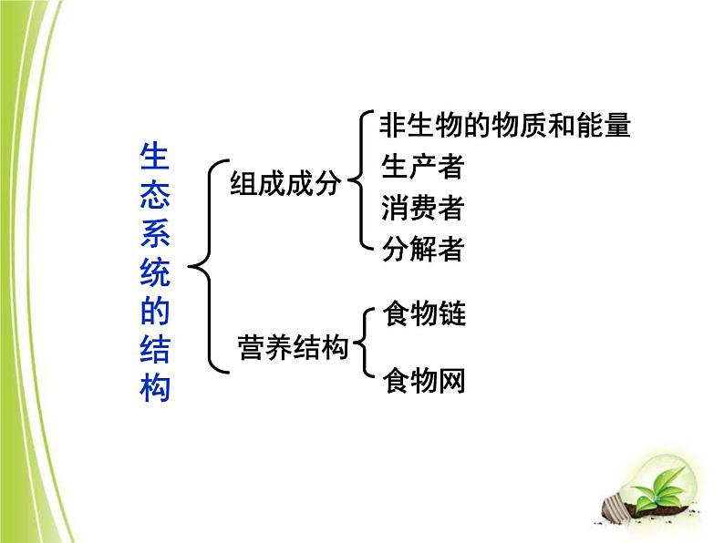 23.3生态系统的结构和功能课件北师大版八年级生物下册第2页