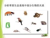 23.3生态系统的结构和功能课件北师大版八年级生物下册