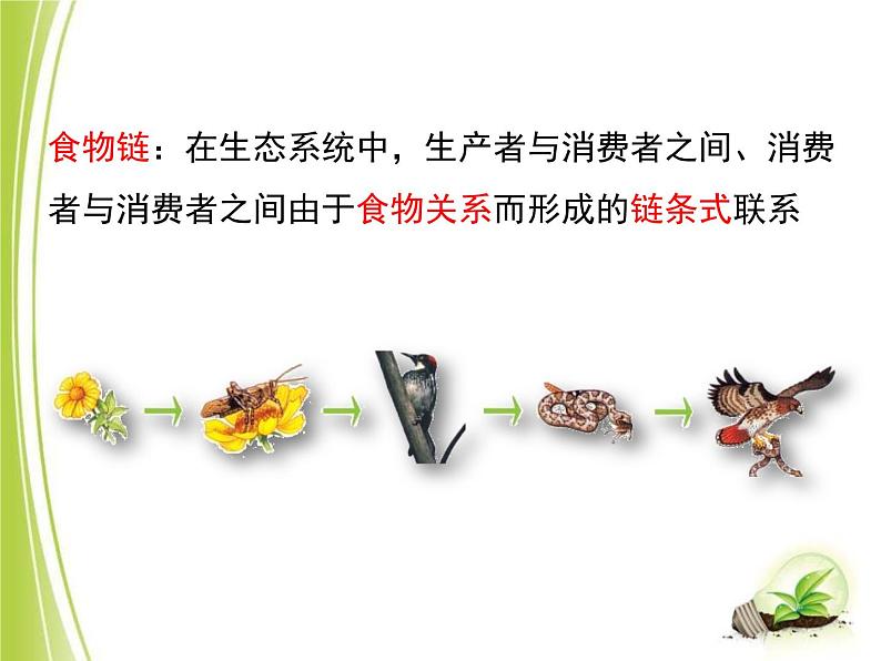 23.3生态系统的结构和功能课件北师大版八年级生物下册第7页