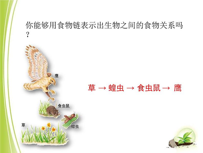 23.3生态系统的结构和功能课件北师大版八年级生物下册第8页