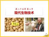 25.2《现代生物技术》ppt课件北师大版八年级生物下册
