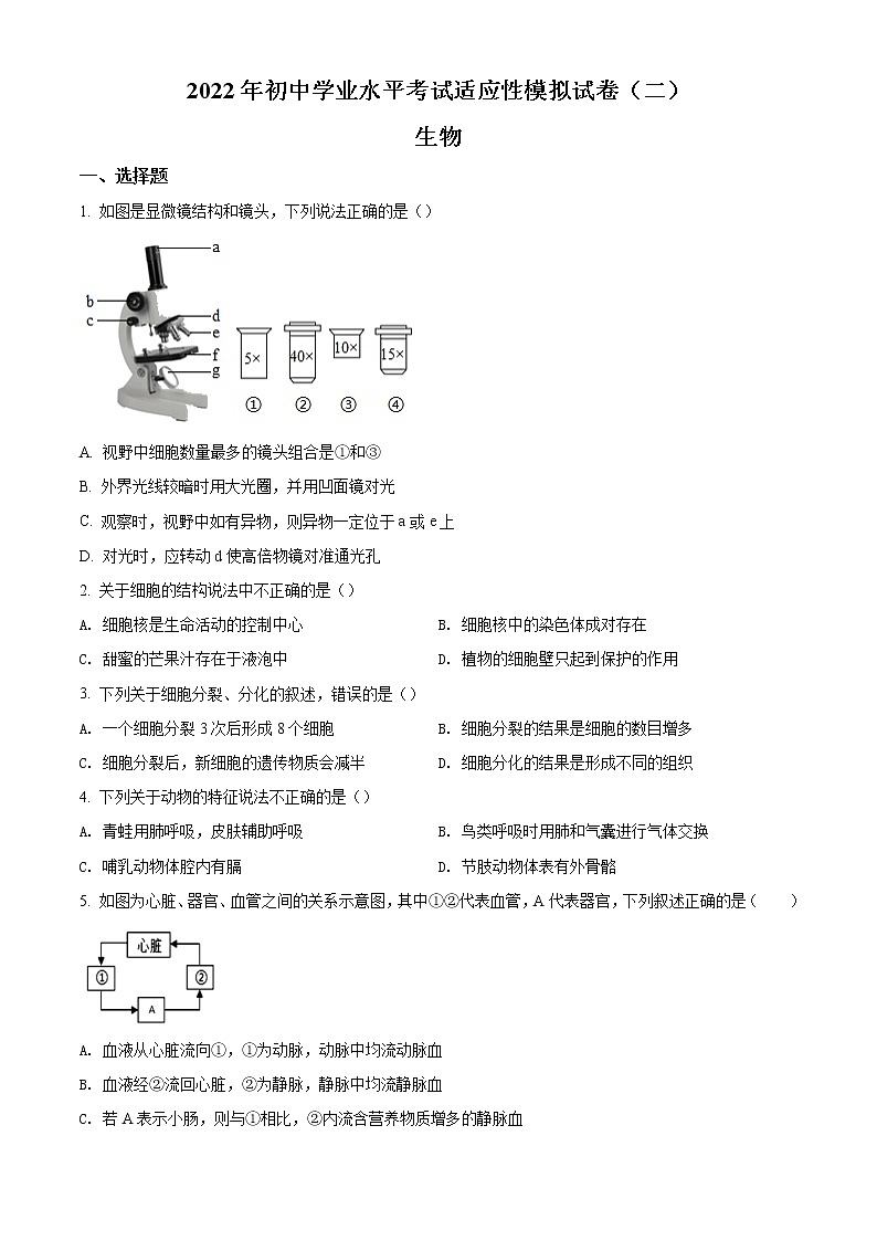 2022年广西百色市靖西市初中学业水平适应性模拟测试生物试题（二模）（含答案）01