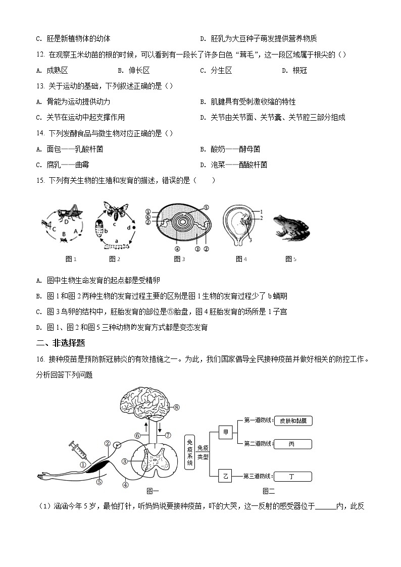 2022年广西百色市靖西市初中学业水平适应性模拟测试生物试题（二模）（含答案）03