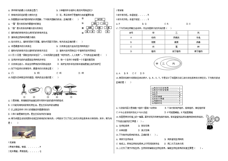 第14章生物的命名和分类 章节测试卷 2021-2022学年苏科版下学期七年级生物第2页