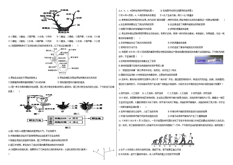 第21章生命的发生和发展 章节测试卷 2021-2022学年北师大版下学期八年级生物02