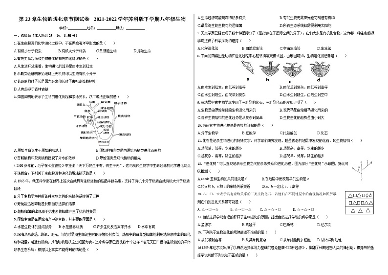 第23章生物的进化 章节测试卷 2021-2022学年苏科版下学期八年级生物01