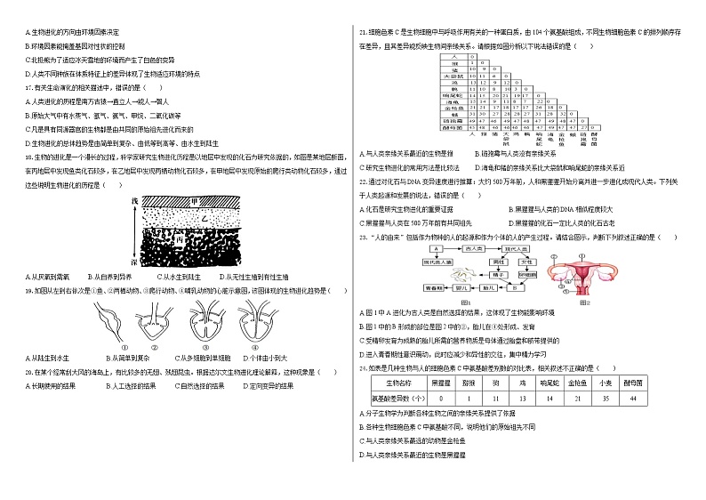 第23章生物的进化 章节测试卷 2021-2022学年苏科版下学期八年级生物02