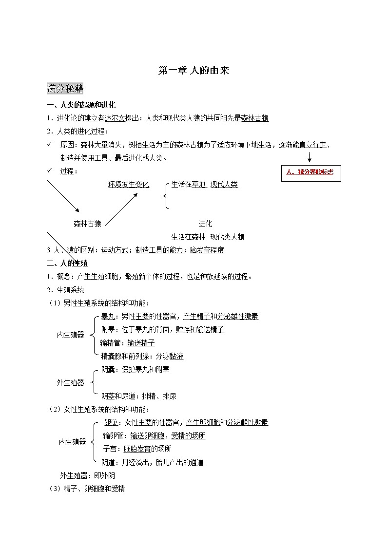 人教版生物七年级下册期末复习章节知识点汇总及练习 第一章 人的由来01