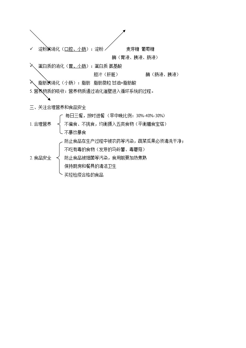 人教版生物七年级下册期末复习章节知识点汇总及练习 第二章 人体的营养03